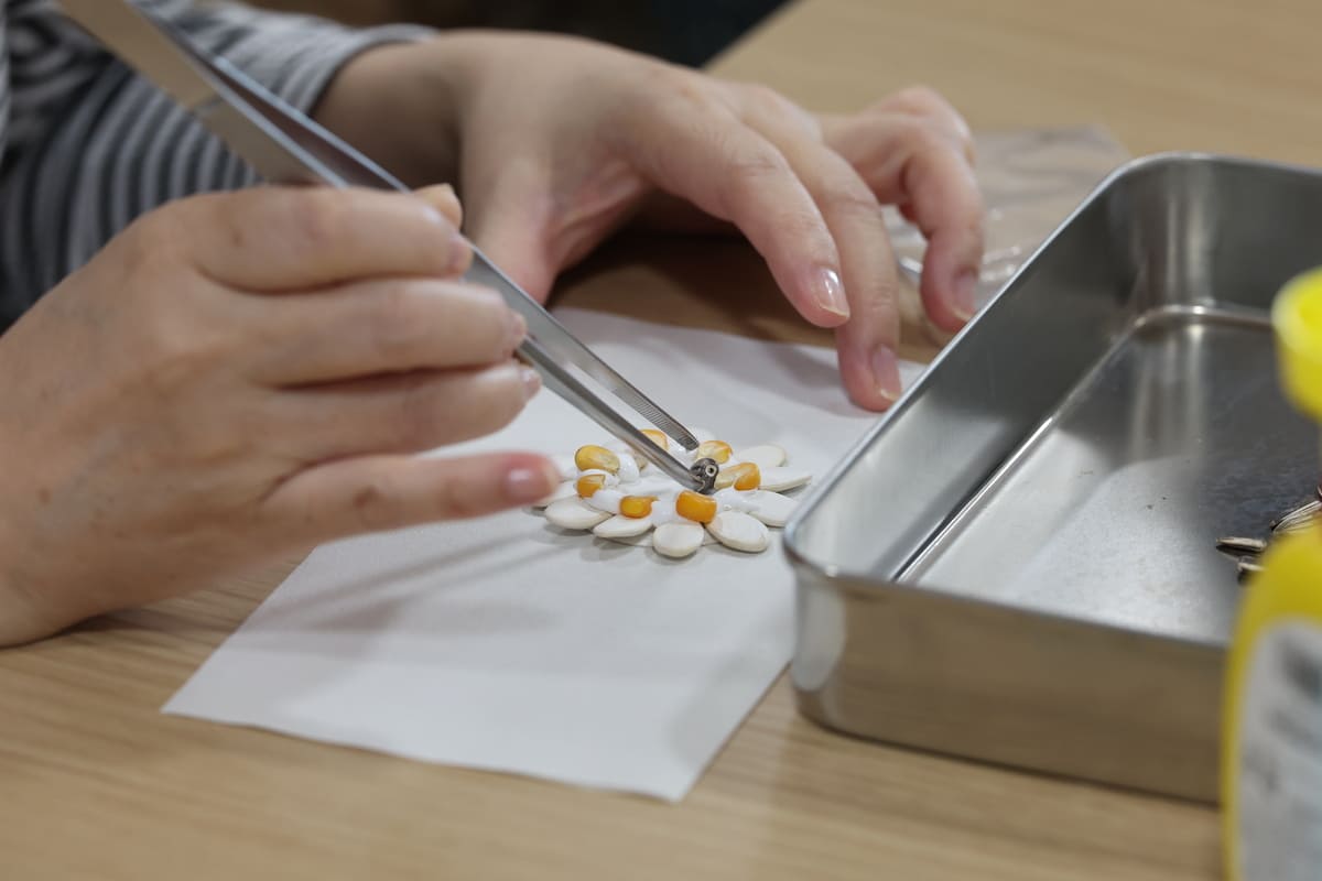 園芸療法によるマグネットづくり